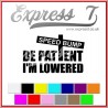 Be Patient I'm Lowered Decal