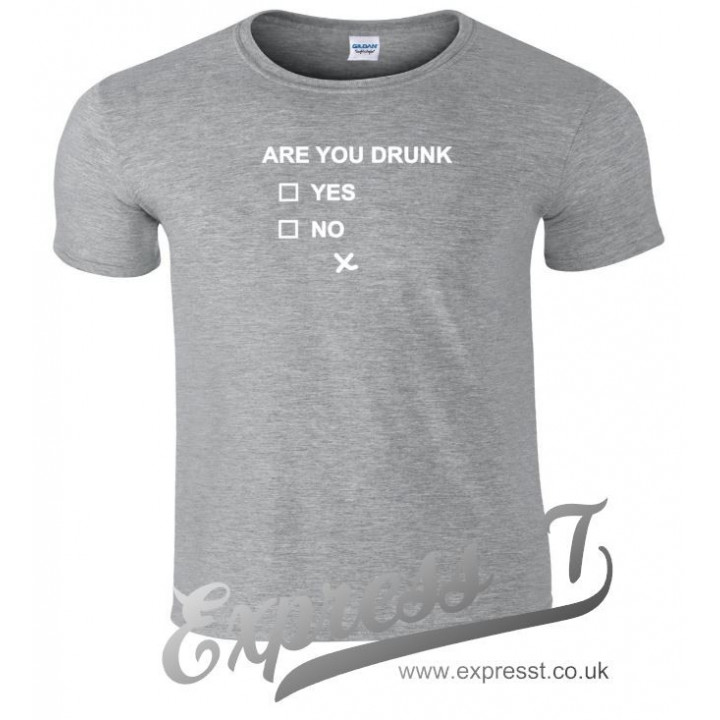 Are You Drunk? Funny T‑Shirt