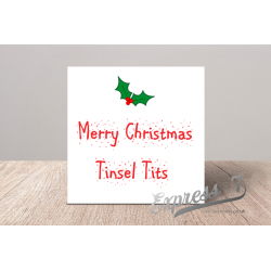 Merry Christmas Tinsel Tits...