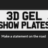 3D Gel Show Plates